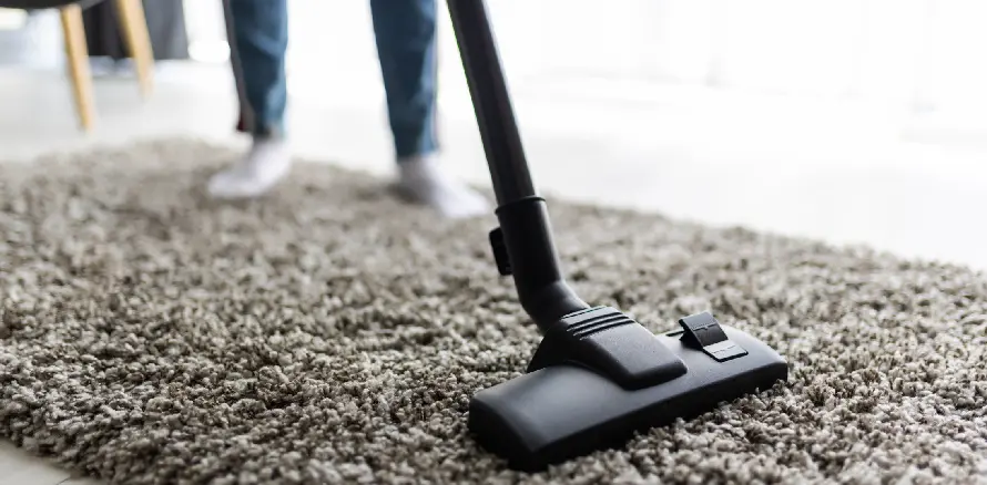 Wet Carpet Drying