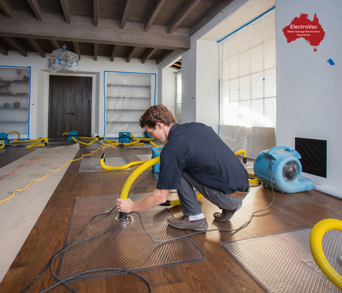 Professional Carpet Drying Service Melbourne
