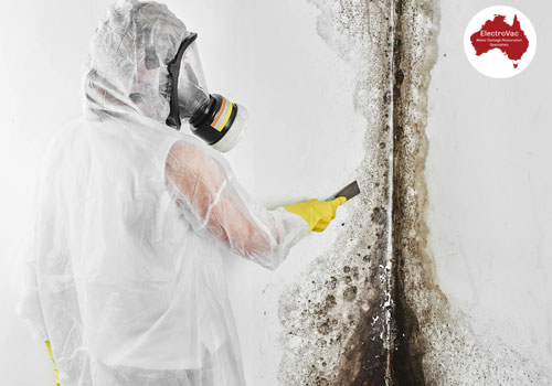 Mould Remediation
