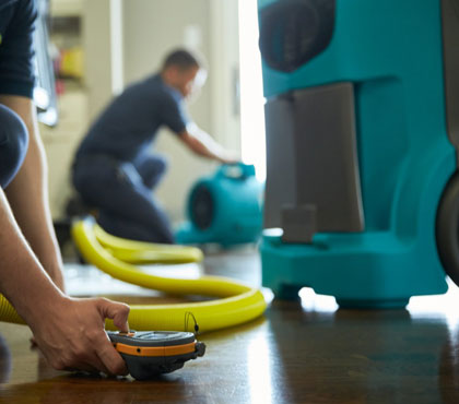 Professional Carpet Cleaning Service