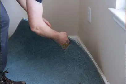 Carpet Damage Restoration