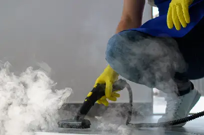 Steam Carpet Cleaning