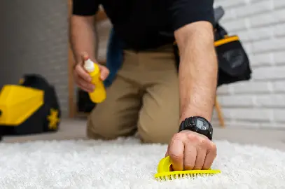 Stain and Spot Removal