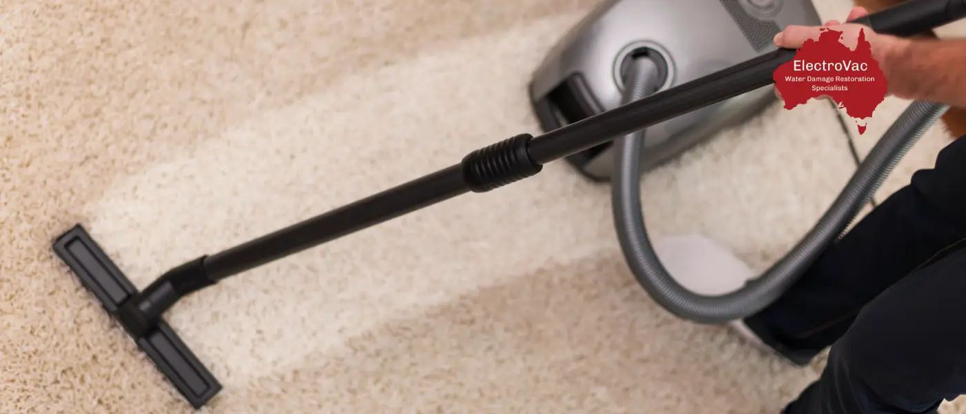 How to Extract Water from Carpets