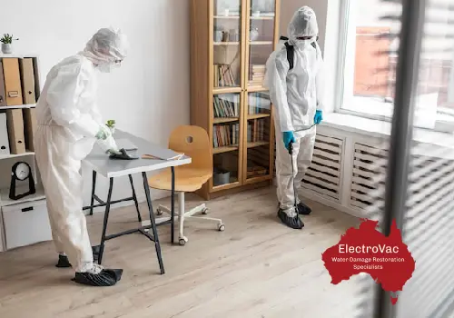 office mould removal service in Maribyrnong