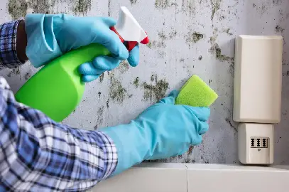 Step 5 is Airborne Mould Control