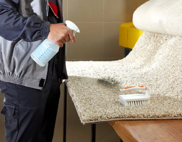 professional carpet cleaning Southbank
