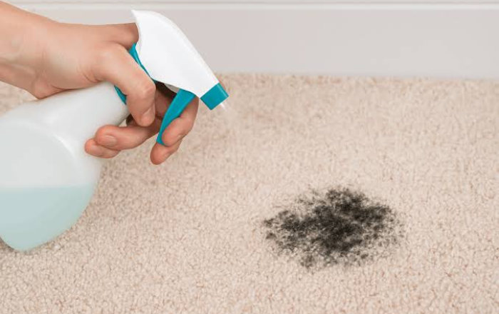 Mould Removal
